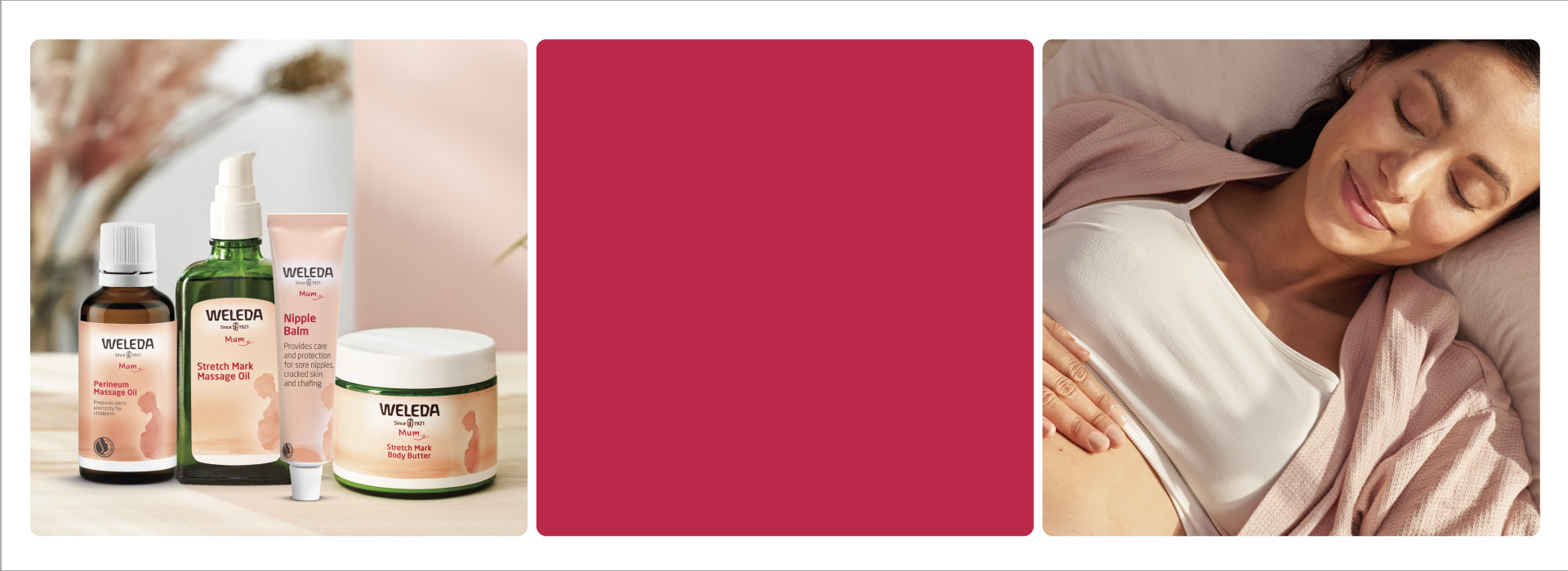 Weledabanner Home Preg